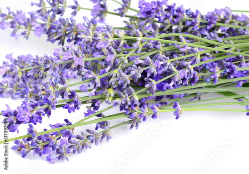 Fototapeta Naklejka Na Ścianę i Meble -  lavender flowers isolated on white background
