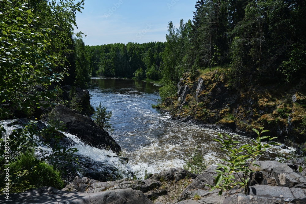 The concept of travel in Russia. The Kivach Nature Reserve in Karelia is popular tourist destination. The waterfall rapid stream of water rushing down rocks. Green forest around. The concept of travel in Russia. The Kivach Nature Reserve in Karelia is popular tourist destination. The waterfall rapid stream of water rushing down rocks. Green forest around.