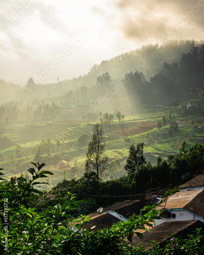 Morning sunlight passing through haze to create stunning landscape