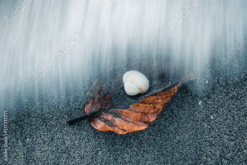 Long exposure shot of sea waves on a brown leaf and a sea shell