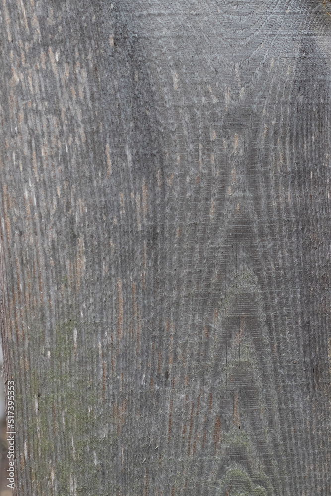 drewno tekstura stary szary deseń panel naturalny twardy stary wyblakły zniszczony deska nawierzchnia - obrazy, fototapety, plakaty 