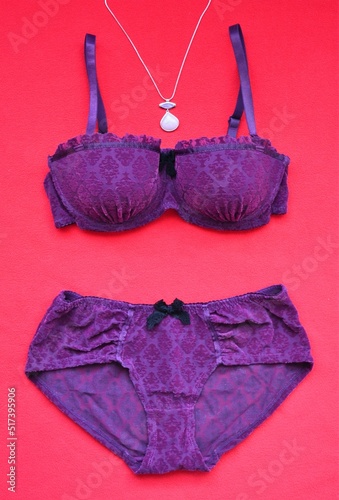 Wallpaper Mural Set of underwear, bra and panty, in purple brocade velvet fabric on a red background Torontodigital.ca
