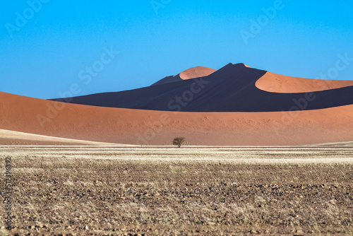 Namibia, the Namib desert, graphic landscape of red dunes 