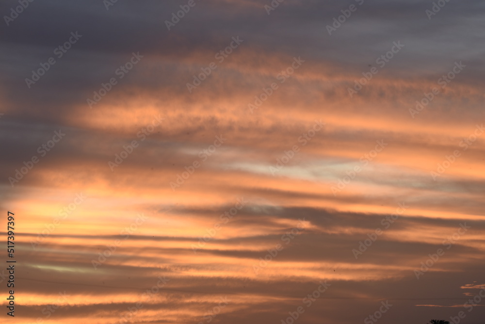 sunset over the field