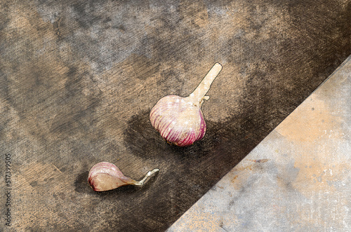 Ripe raw garlic. Garlic (Allium sativum) is used as a food spice and as traditional medicine. Digital watercolor painting. Canvas texture