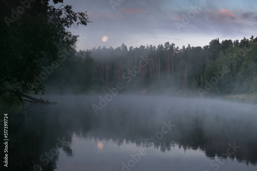 Fototapeta Naklejka Na Ścianę i Meble -  Morning by the river in the moonlight.