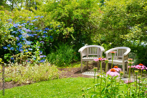 Rose garden Bristol RI USA photo