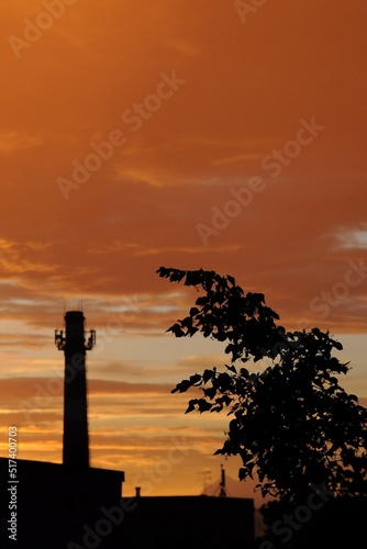 Black clear silhouette of a tree branch. Blurred silhouette of a building and pipes in the background. Red-orange sky with dense clouds. Sunset colors. Gold, orange, red, blue stripes.