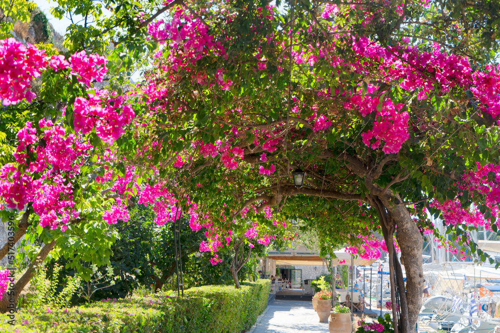 Obraz premium Corfu town, Greece