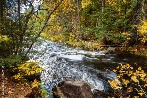 Fototapeta Naklejka Na Ścianę i Meble -  Rapids along a river running through a colourful forest in autumn. Algonquin Park, ON, Canada.