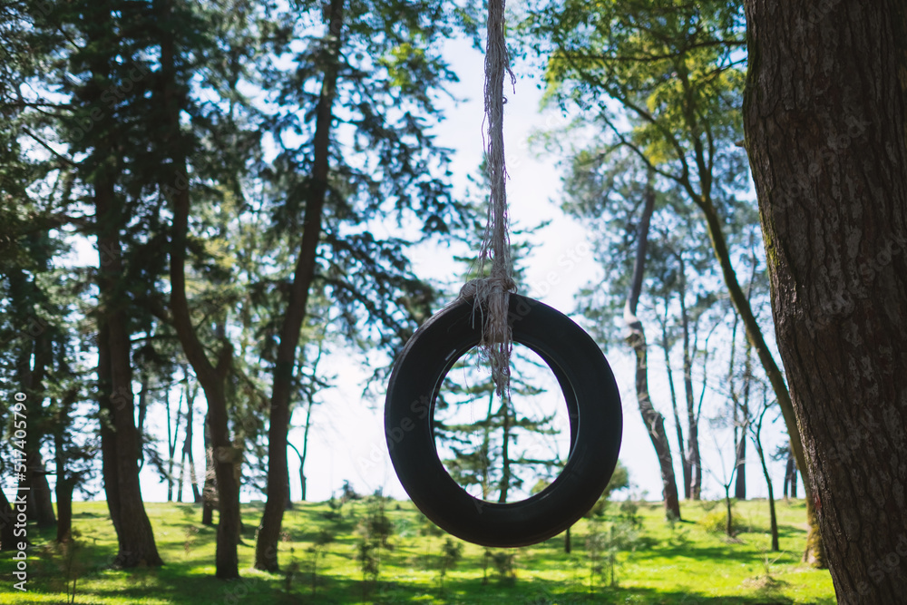 Fototapeta premium Old car tire hanging on tree at playground.