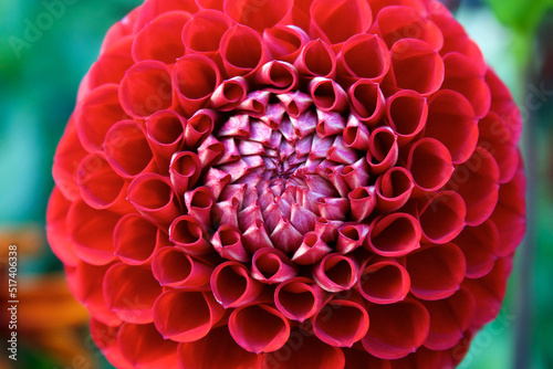 Swirling Flower