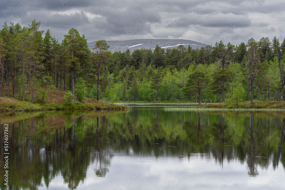 The view of the lake and forest in cloudy weather at Lemmenjoki National Park in Finland.