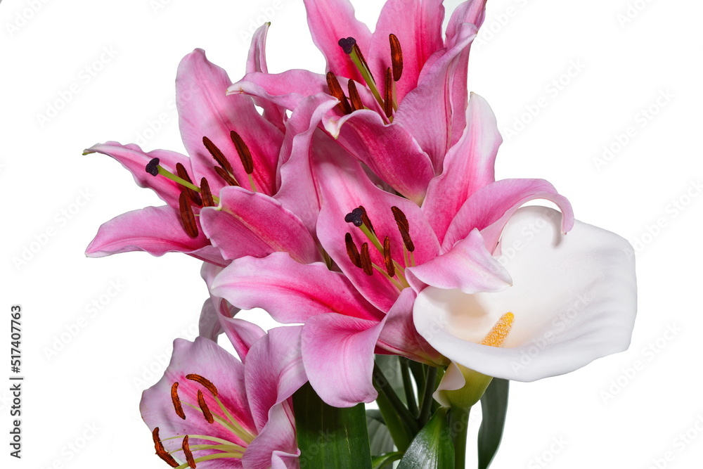 beautiful lily and White calla lilies bouquet isolated on white background beautiful lily and White calla lilies bouquet isolated on white background