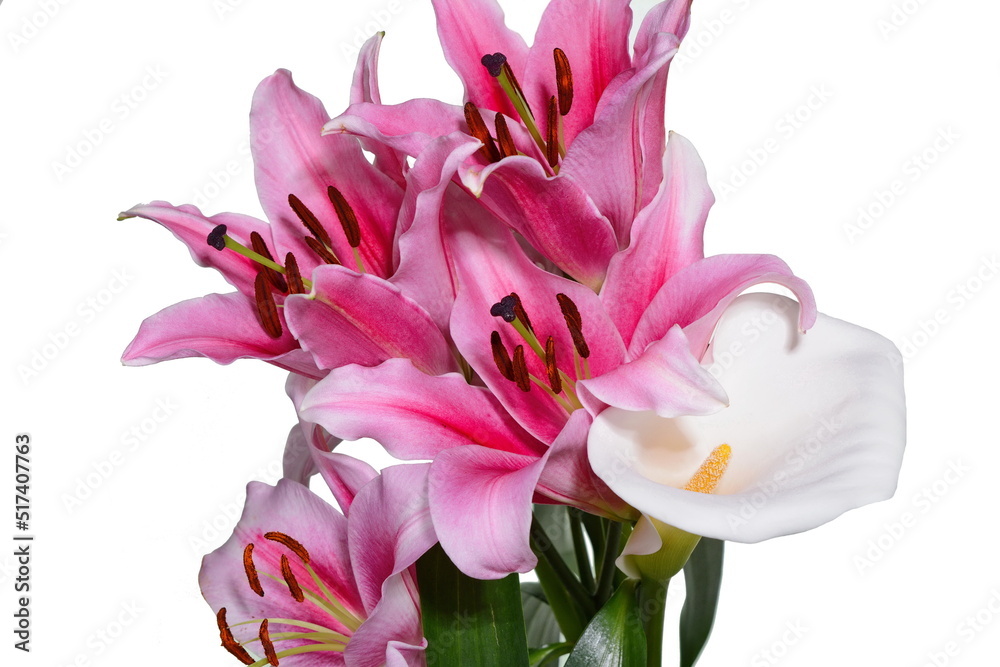 beautiful lily and White calla lilies bouquet isolated on white background