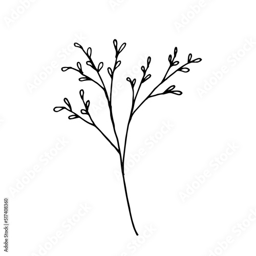 Hand drawn tree branch with leaves, vector doodle