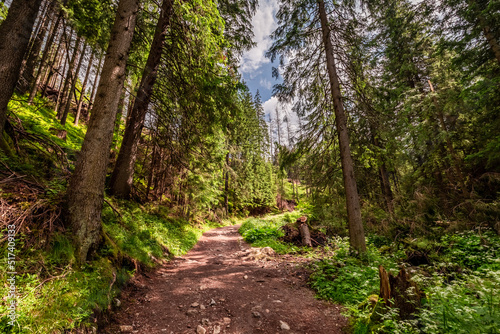 Rocky footpath in Tatras Mo...