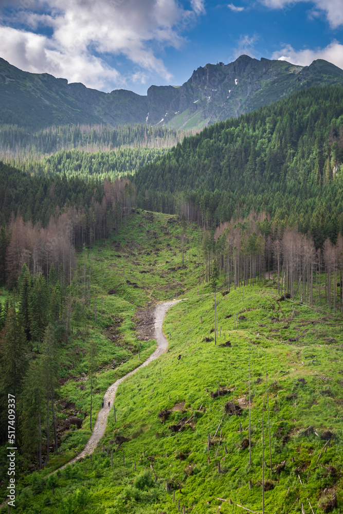Fototapeta premium Path to Kasprowy Wierch from Zakopane in Tatra mountain, Poland