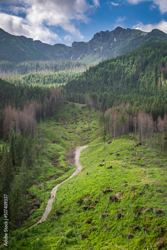Path to Kasprowy Wierch from Zakopane in Tatra mountain, Poland