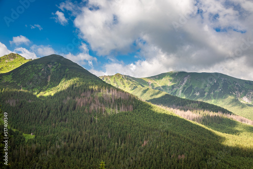 Forest in Tatra mountains, view from cable car, Poland © shaiith