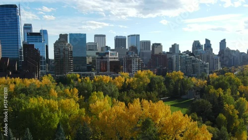 Calgary, Alberta, Canada. City center Arial drone view. Skyscrapers of business downtown  with fall yellow and green trees.
