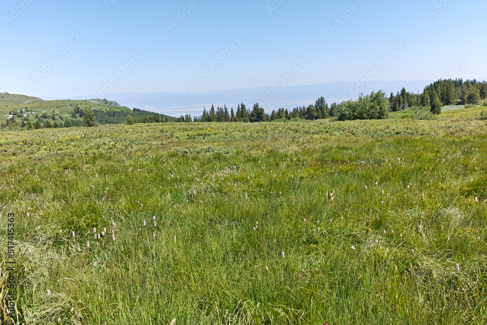 Landscape of Vitosha Mountain near Aleko hut, Bulgaria