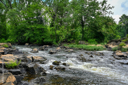 A low-perspective landscape of whitewater river rapids in the forests of North Carolina