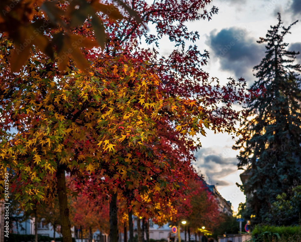 Fototapeta premium Autumn colors in the city of Strasbourg. Yellow, red, orange