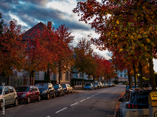 Autumn colors in the city of Strasbourg. Yellow, red, orange