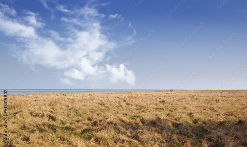 Landscape of a dry open field by the sea in the East coast of Kattegat, Jutland, near Mariager fjord, Denmark showing change in season. Springtime in an arid coastal meadow in the wilderness