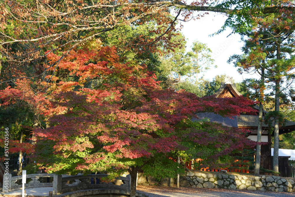 京都大原来迎院の秋景色 京都大原来迎院の秋景色