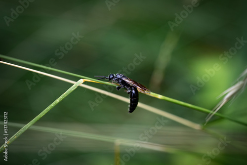 Hangin' on