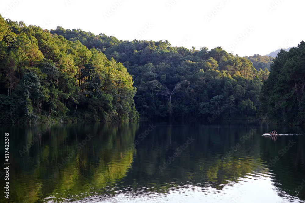 Lake in pine forest