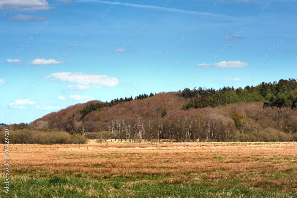 Obraz premium Landscape view of hills or mountains with pine tree forests in Germany. Lush autumn foliage with woods in remote field or countryside. Environment conservation of nature reserve or meadow for tourism
