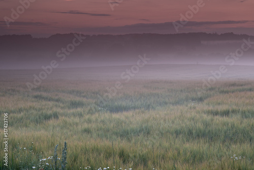 Landscape view of fog over a field with mountains in the background with copy space. Mist covering a vast expanse of green countryside meadow. Early Autumn morning in a remote nature environment