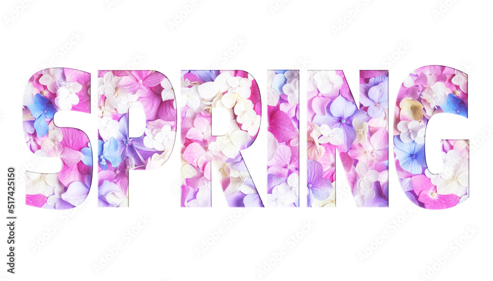 Word Spring written from hydrangea flowers isolated on white background. Natural colorful flowers inside letter silhouettes.