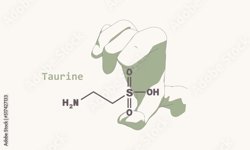 Hand holding chemical molecular formula of taurine.