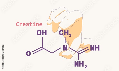 Hand holding chemical molecular formula of creatine.
