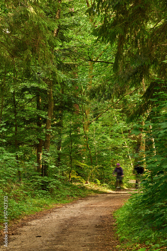 Two cyclist riding their bikes down a dirt path or road in an uncultivated forest. Exercising and getting fit in the wilderness surrounded by tress and foliage. Athletes working out on their bicycles
