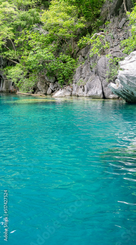 Pristine water at Barracuda Lake, Coron, Palawan. Surrounded by limestone cliffs, a popular tourist attraction and diving spot in the Phillipines.