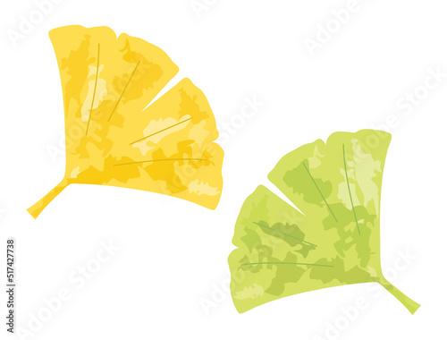 黄色と緑の銀杏の葉のイラスト