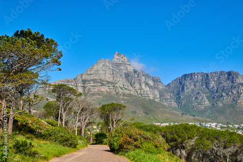 Landscape view of mountains background from a lush, green botanical garden and national park. Table Mountain in Cape Town, South Africa with blue sky and copy space while discovering peace in nature
