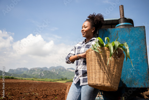 Young charming agricultural woman working near a tractor in corn field with mountain view, Rural profession for young people and agriculture business concept