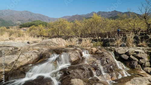 전라남도 구례 산수유마을, Sansuyu Village, Gurye, Jeollanam-do photo