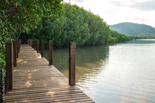 Fototapeta Naklejka Na Ścianę i Meble -  Wooden bridge in mangrove forest and lake at oversea, this place for relaxation