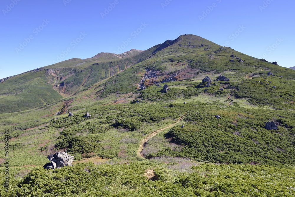 Fototapeta premium 秋の当麻岳(北海道・大雪山)