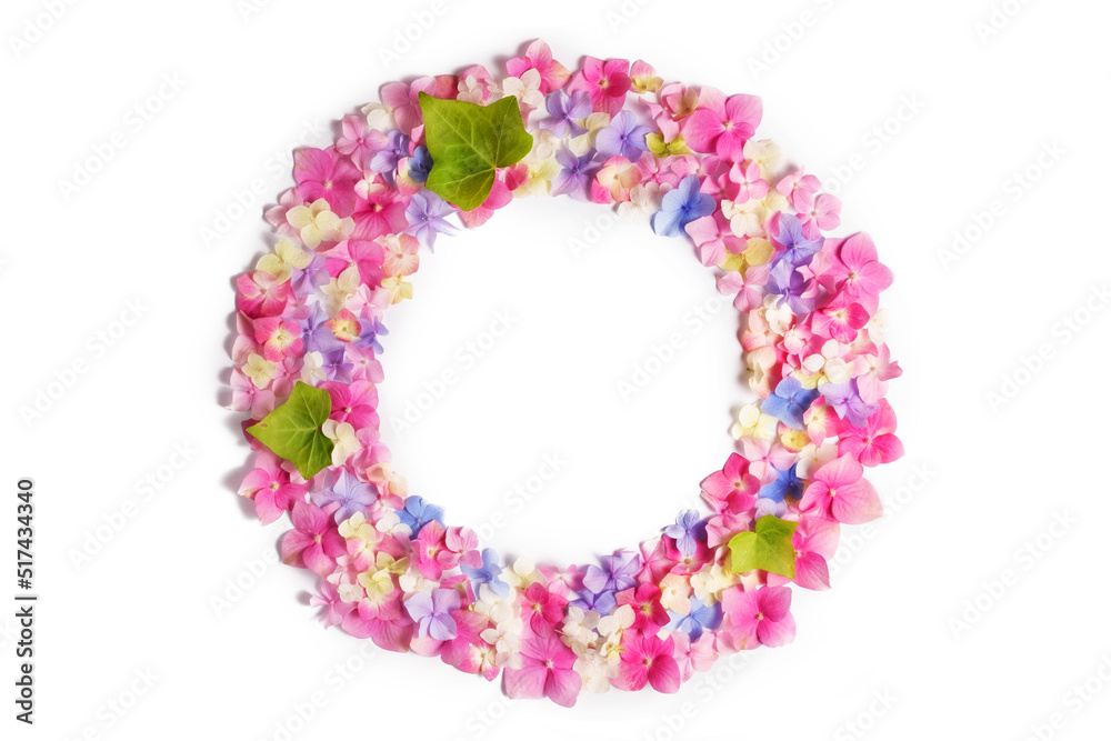 Wreath of colorful hydrangea flowers and green leaves isolated. Flat lay, top view, copy space. Flower composition.