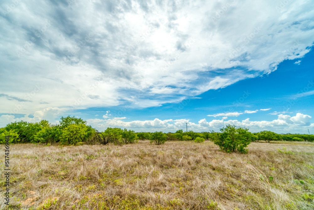 rural texas land