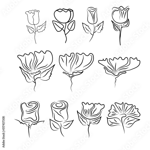 Line Drawing Set Of. Sketch of Flowers Isolated on White Background. Object for dicut. photo