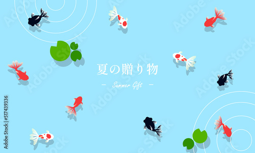 夏の水面を泳ぐ金魚のサマーギフトテンプレート背景　Summer gift template background for goldfish swimming on the surface of the water in summer